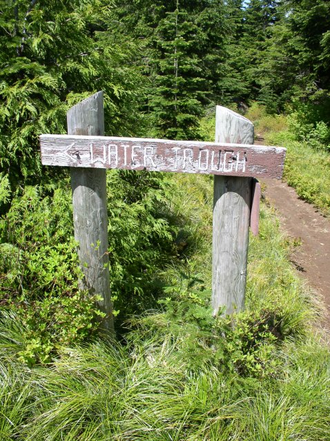 6.10.06 Table Mtn_3CR 140 